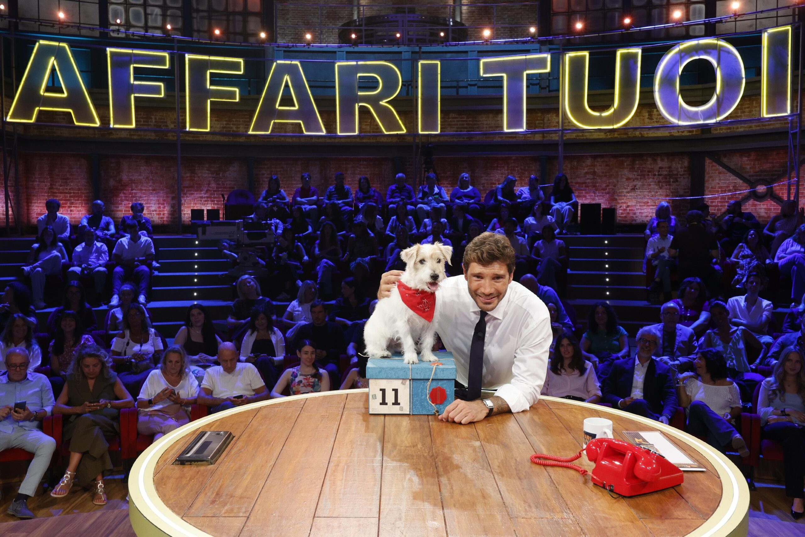 affari tuoi la ruota e l8217eredit224 spremuti senza piet224 special in prime time da Tivvusia.com affari tuoi la ruota e l8217eredit224 spremuti senza piet224 special in prime time